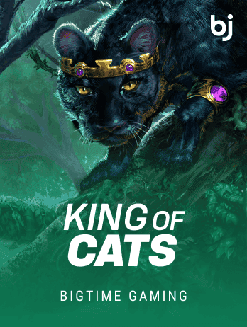 King of Cats game thumbnail
